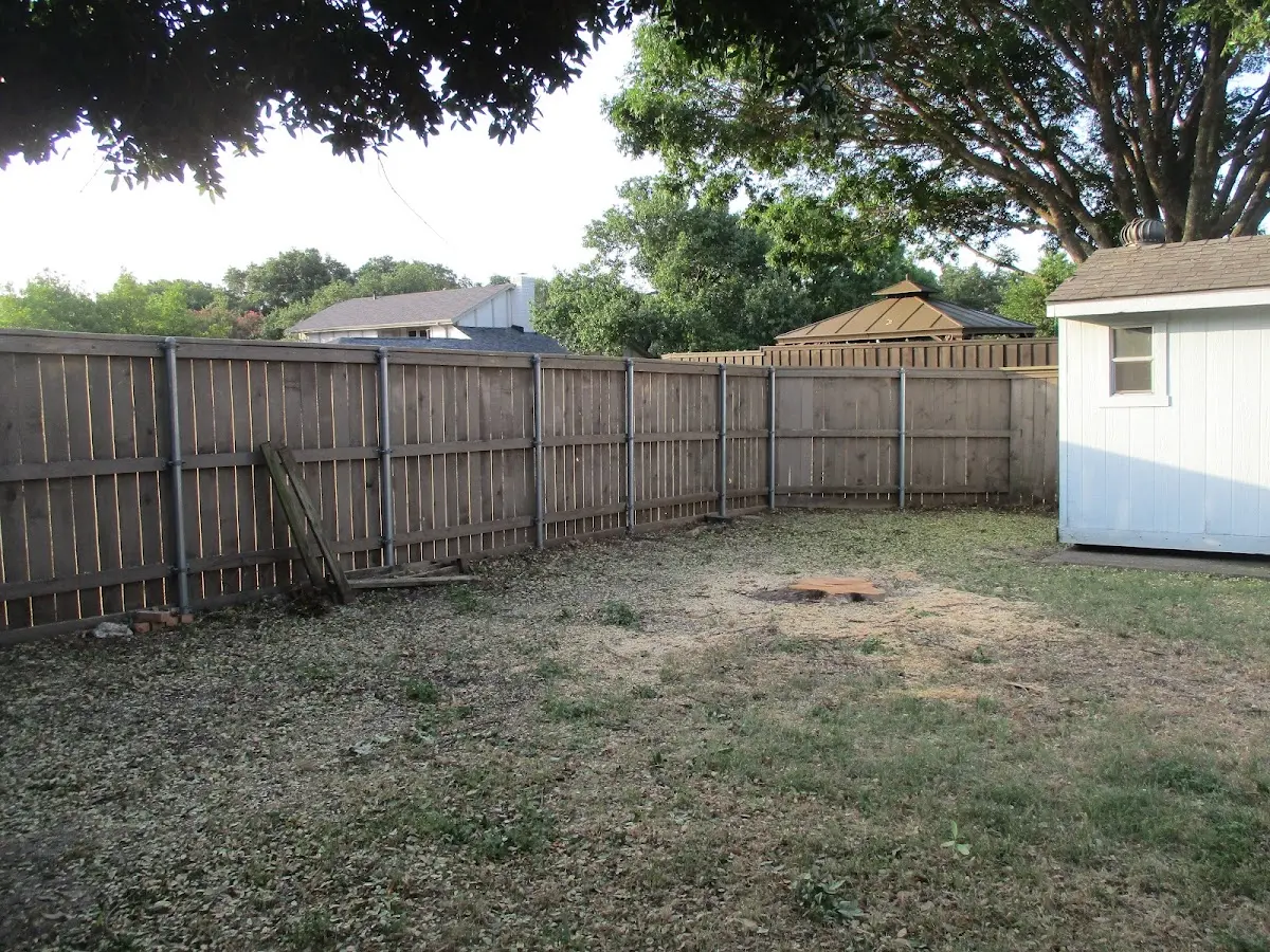 Cleared yard after professional tree removal in Chesterfield
